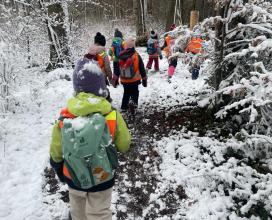 Wald2