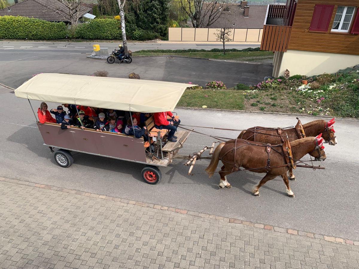 Kutschfahrt 8